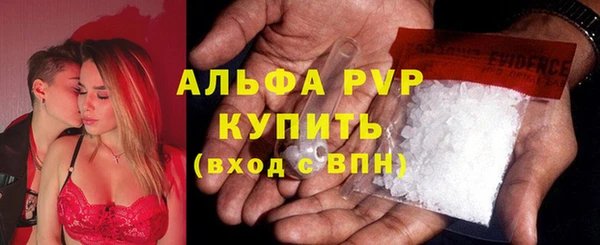 хмурый Пересвет