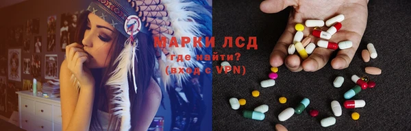 хмурый Пересвет