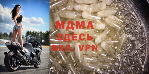 хмурый Пересвет