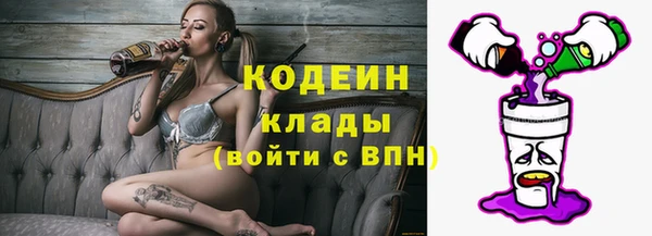 хмурый Пересвет