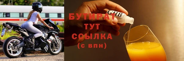 хмурый Пересвет