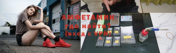 хмурый Пересвет