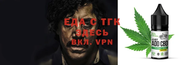 хмурый Пересвет