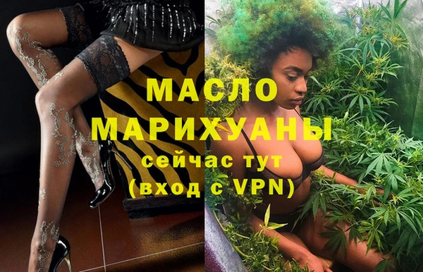 хмурый Пересвет