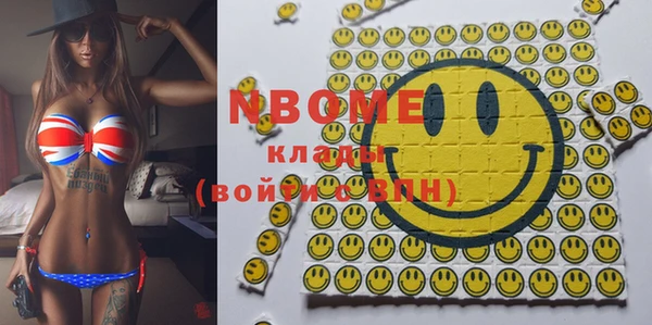 хмурый Пересвет