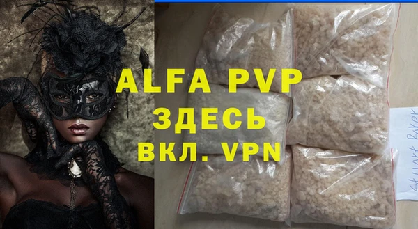 хмурый Пересвет