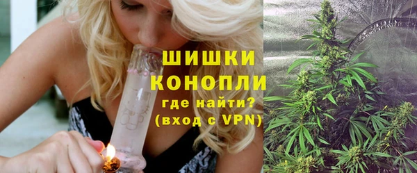 хмурый Пересвет