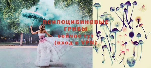 spice Переславль-Залесский