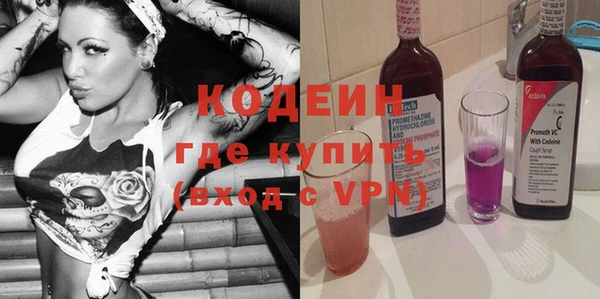 хмурый Пересвет