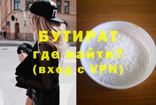 хмурый Пересвет