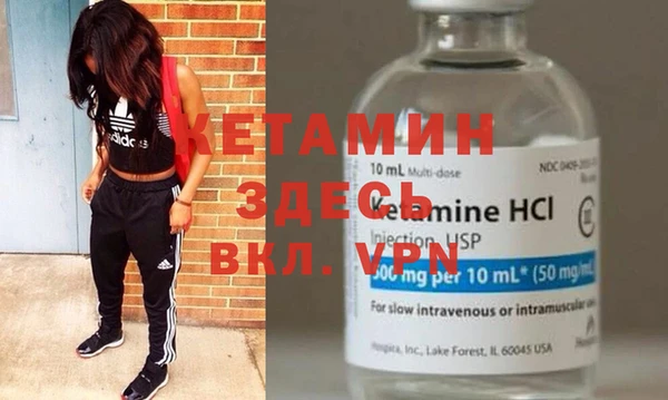 хмурый Пересвет