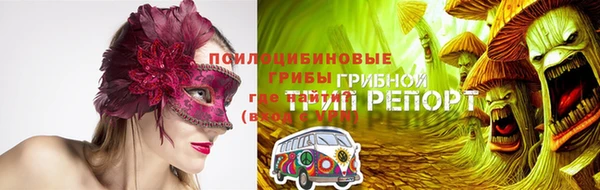 spice Переславль-Залесский