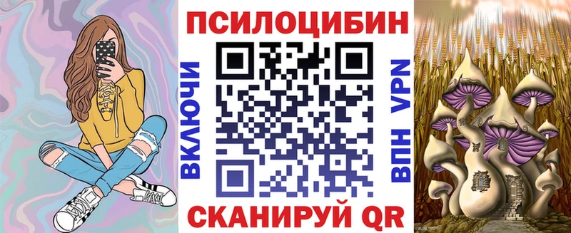 Галлюциногенные грибы Psilocybe  Купить закладки  Пойковский 